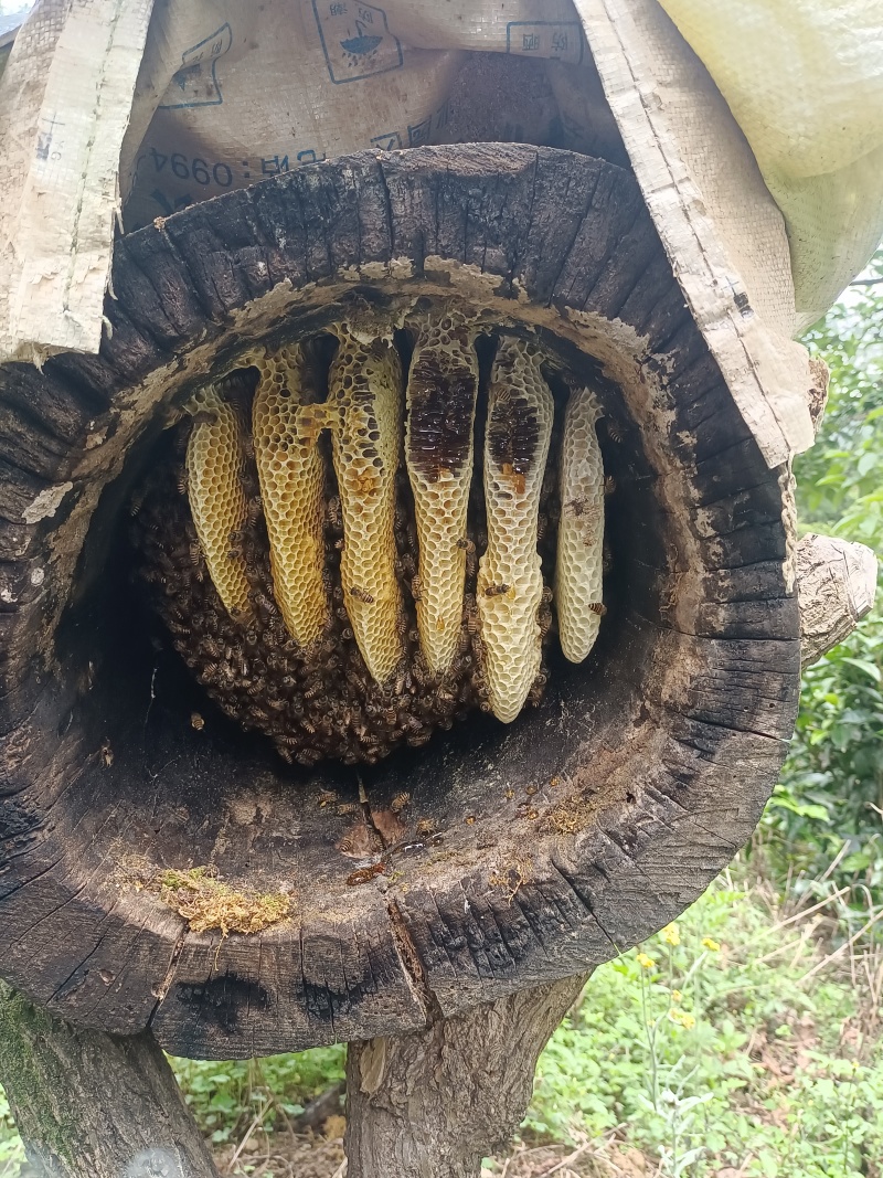 好品质才能有好销量