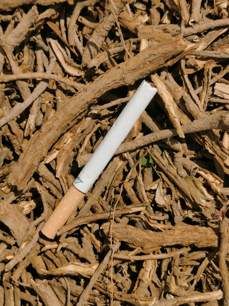 地骨皮河南产野生地骨皮过3号筛净货没有骨头捡的很干净