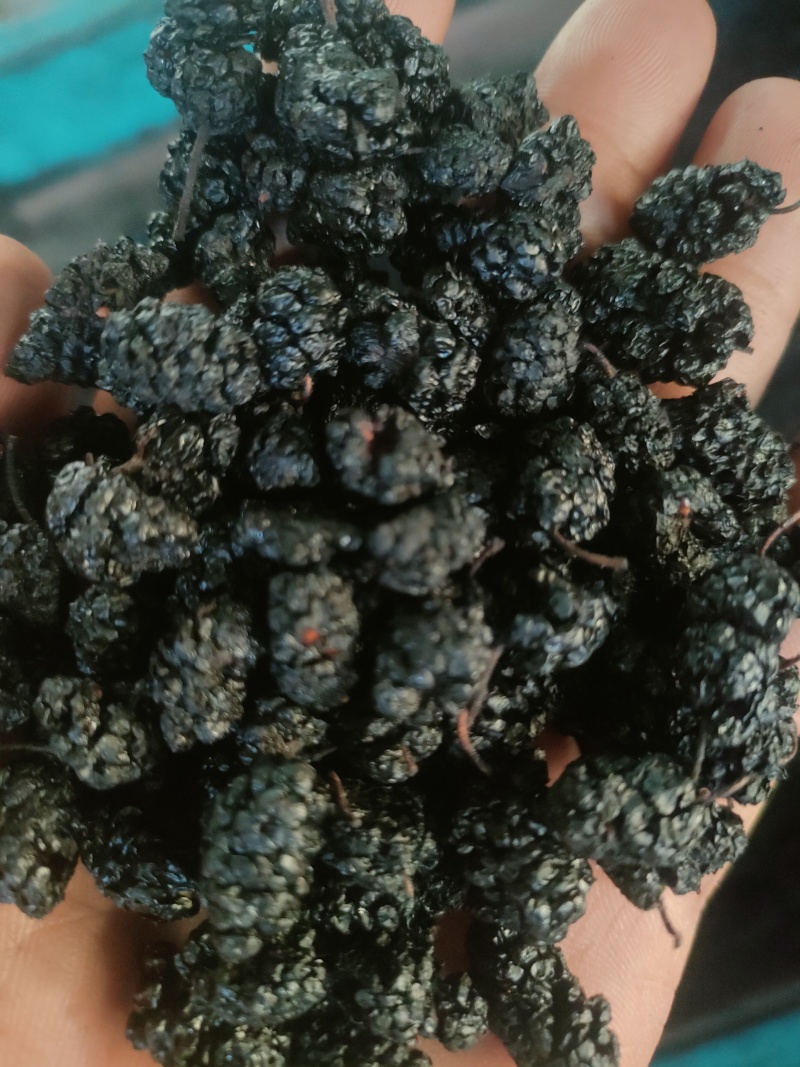 河北桑椹干，水洗无沙，电商药厂专用