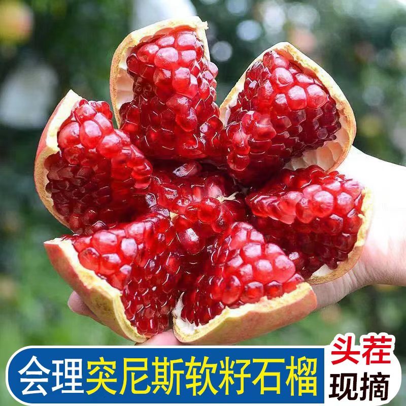 会理突尼斯软籽石榴电商商超市场电商一件代发代收