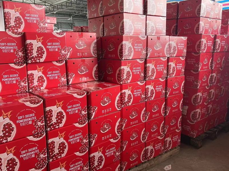 会理软籽石榴电商一件代发保证质量日发三万单