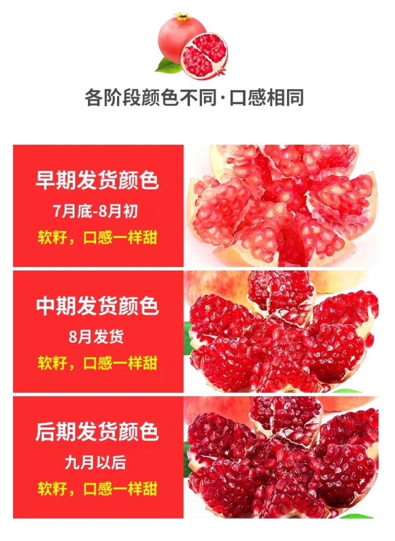 会理软籽石榴电商一件代发保证质量日发三万单