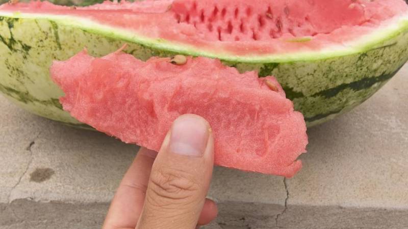西瓜，10斤起