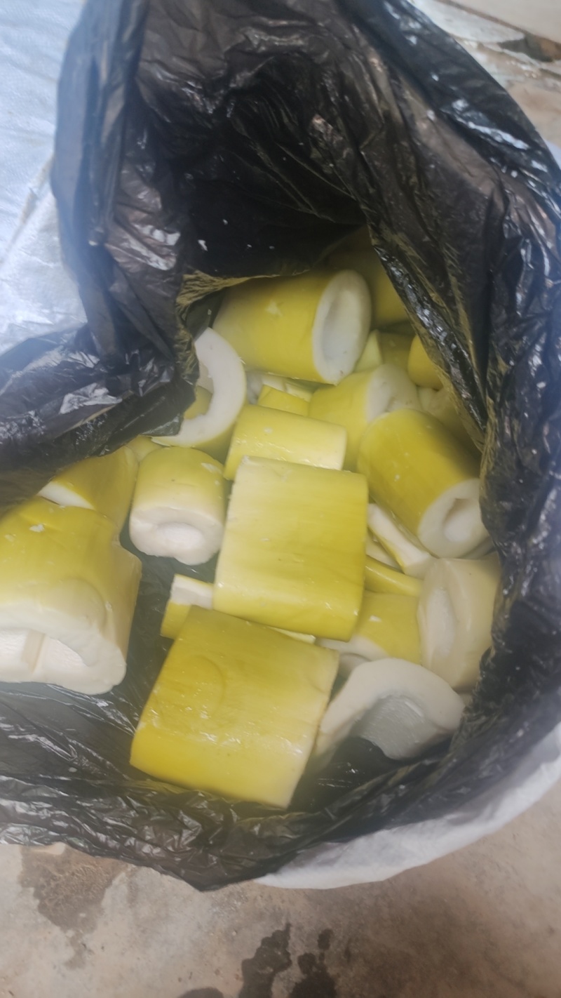 4以上麻竹笋同