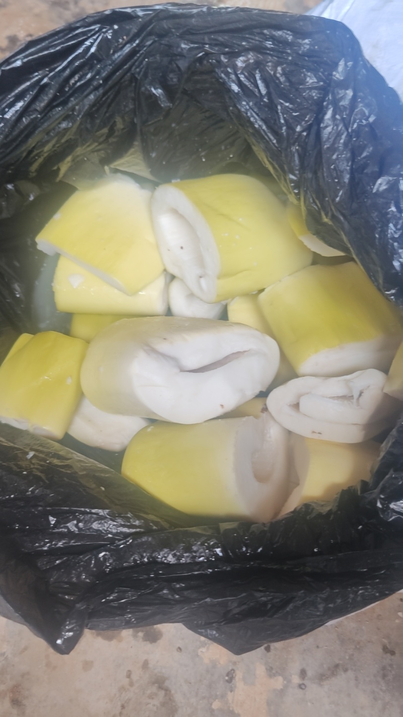 4以上麻竹笋同