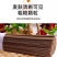 正品荞麦面条粗粮代餐杂粮面条***剂荞麦挂面整箱批发云雾茶