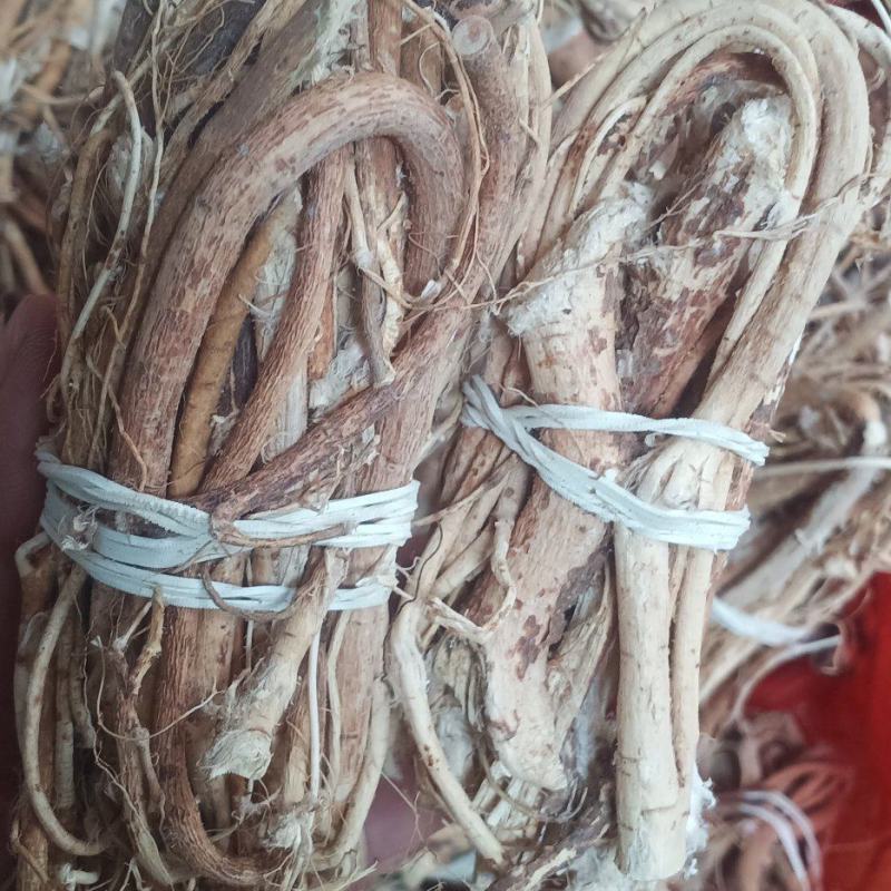 无硫野生五脂毛桃中药批发一手货源量大忧惠