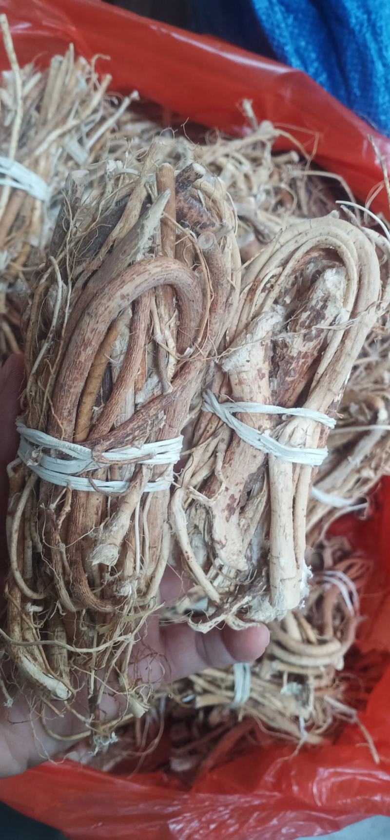 无硫野生五脂毛桃中药批发一手货源量大忧惠