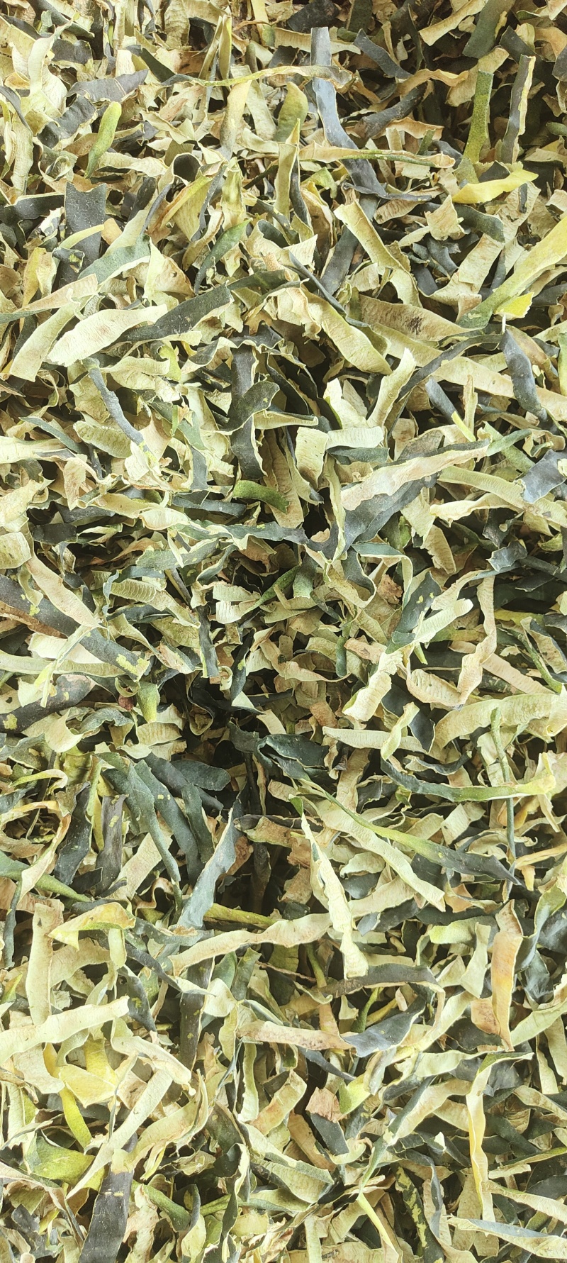 双边冬瓜子单边冬瓜籽新货颗粒饱色白无异味自然凉晒大货供应