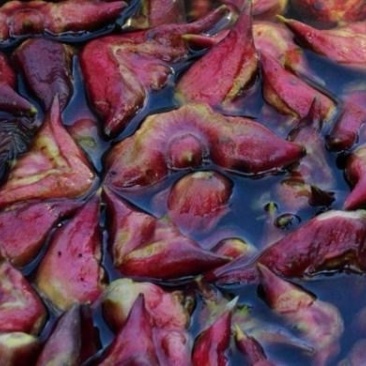 菱角