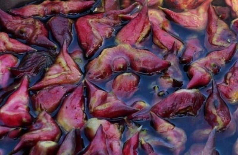 菱角