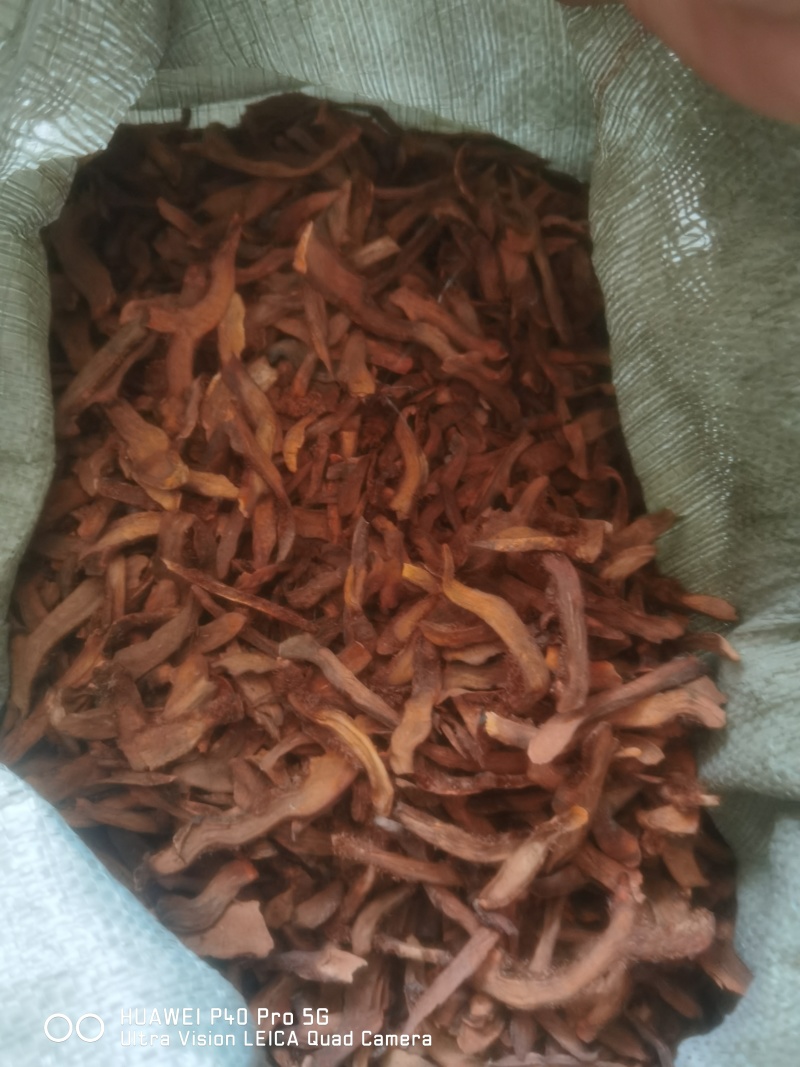 贵州骨碎补清仓低价清仓