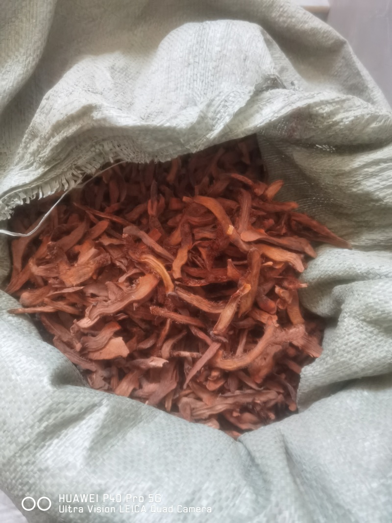 贵州骨碎补清仓低价清仓