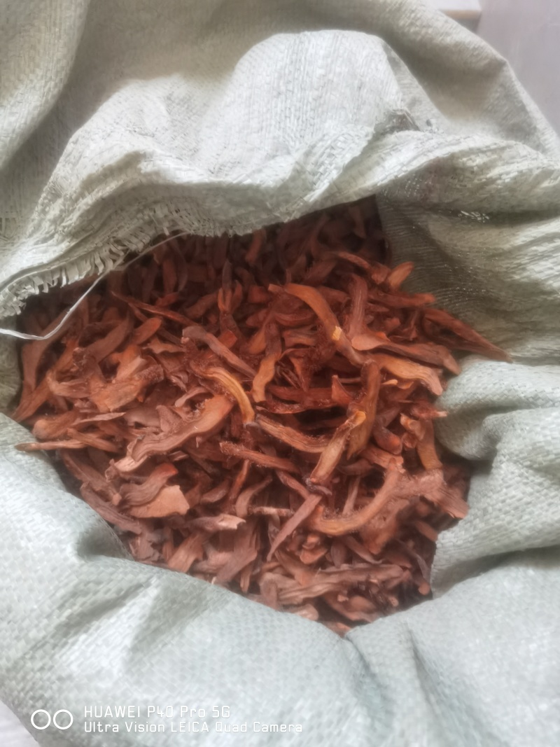 贵州骨碎补清仓低价清仓