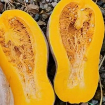 湖北老南瓜，电商，市场货都有，质量很好