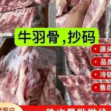 牛羽骨，诚信商家，一手货源，支持样品，可来看货