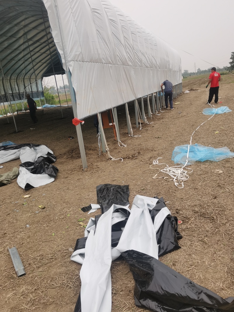 专业搭建温室养殖大棚，全国接单:承建6米---22米