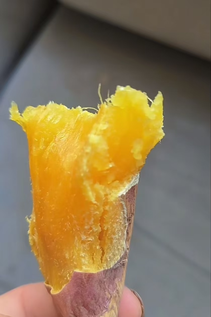 【源头直采】新鲜红薯徐薯50现挖现发欢迎来电咨询