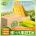云南金银双色超甜脆水果玉米棒新鲜带壳现摘可即食用生吃榨汁粒段