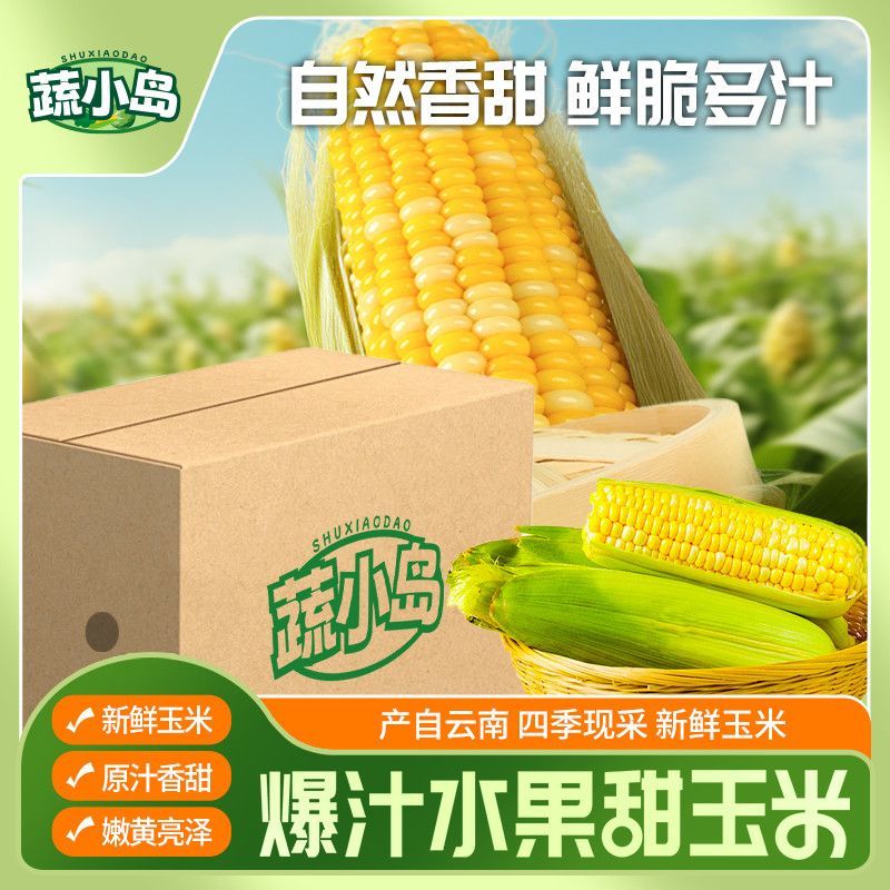 云南金银双色超甜脆水果玉米棒新鲜带壳现摘可即食用生吃榨汁粒段