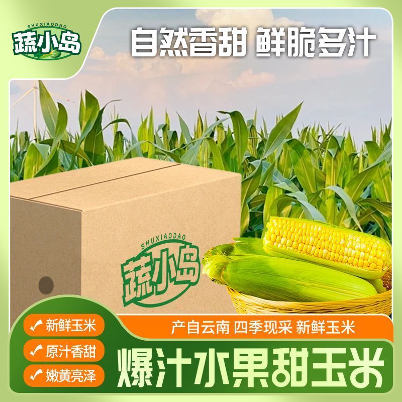 云南金银双色超甜脆水果玉米棒新鲜带壳现摘可即食用生吃榨汁粒段