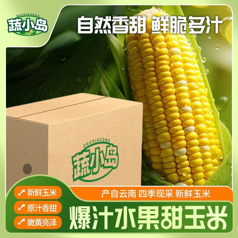 云南金银双色超甜脆水果玉米棒新鲜带壳现摘可即食用生吃榨汁粒段