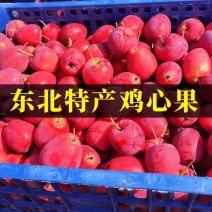 东北鸡心果海棠果大量现货欢迎合作共赢