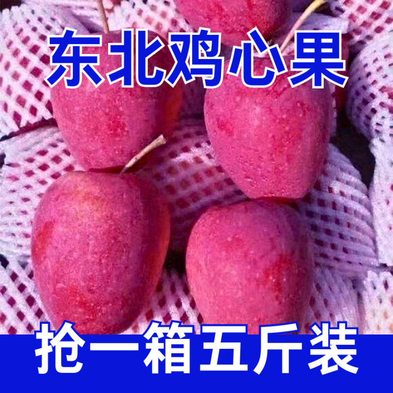 东北鸡心果海棠果大量现货欢迎合作共赢