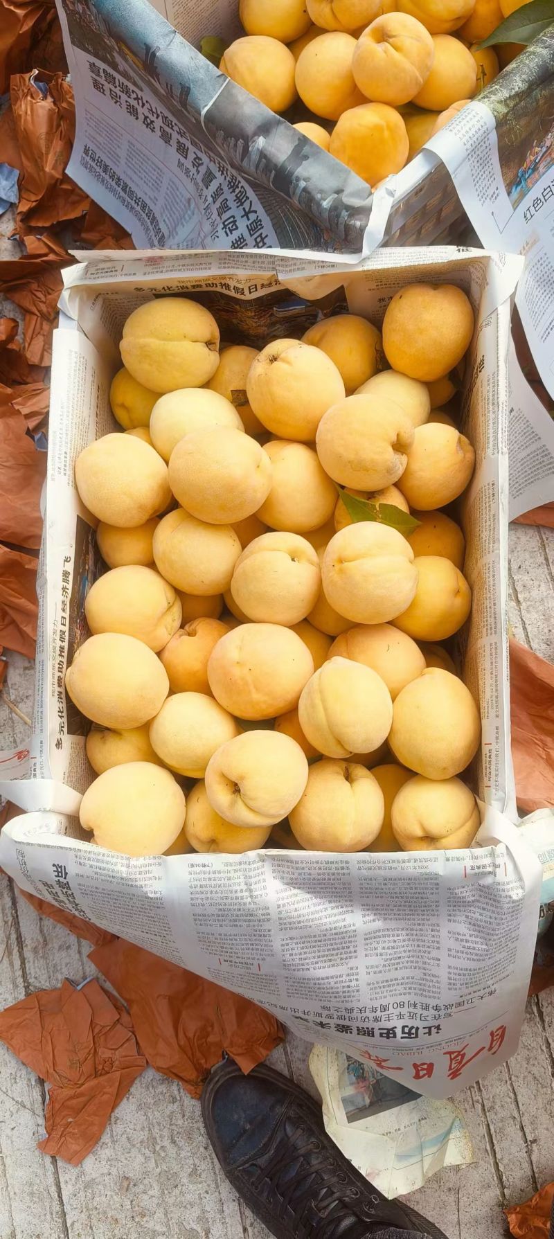 锦绣黄桃。套袋果大量出货中口感好，颜色好，货源充足