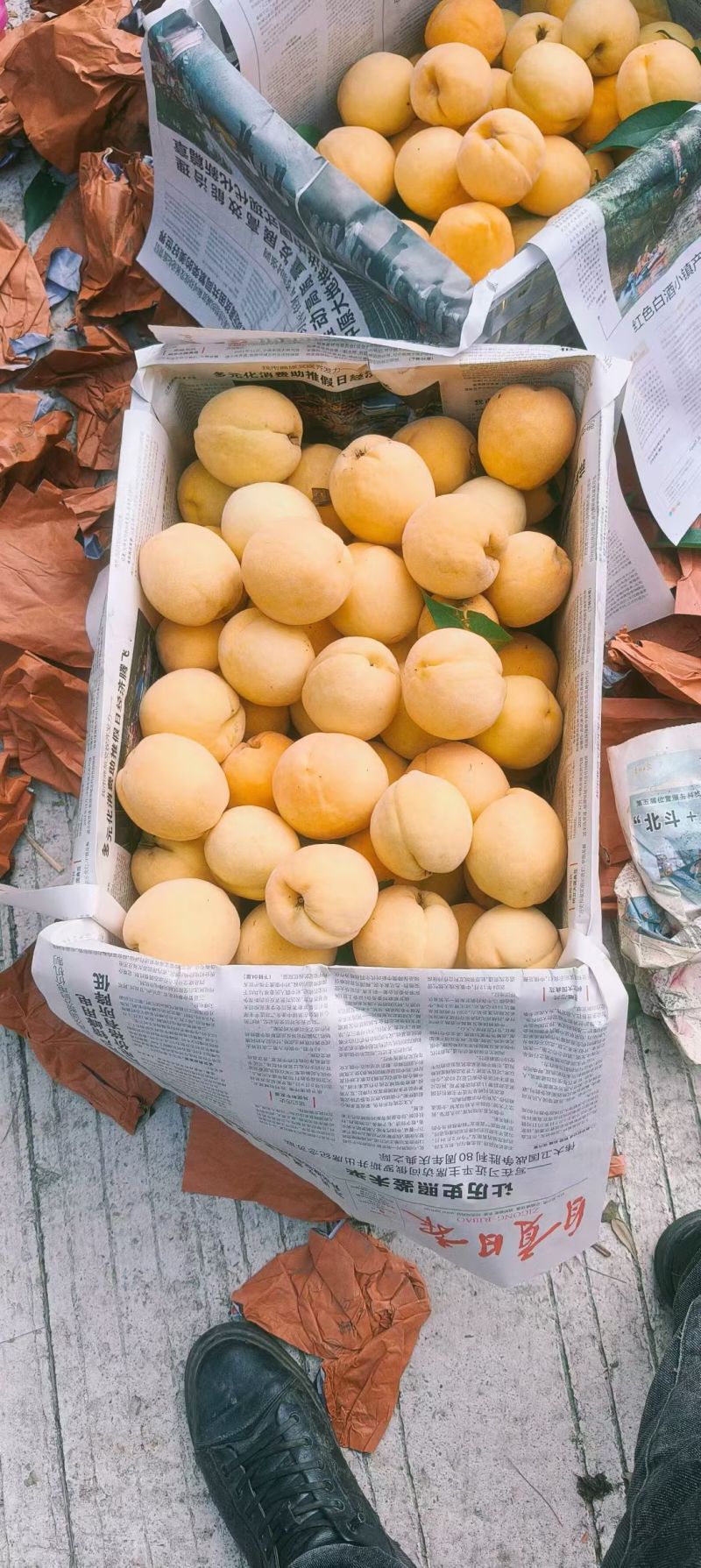 锦绣黄桃。套袋果大量出货中口感好，颜色好，货源充足