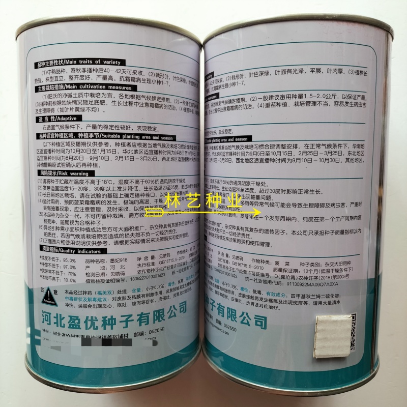 墨妃918菠菜种子一代杂交株型直立整齐度好产量高