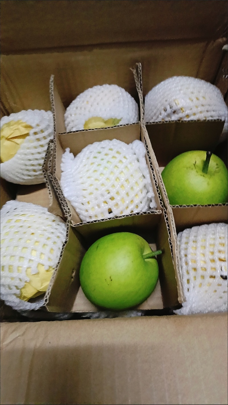 砀山正宗皇冠梨青皮梨对接商超电新鲜梨子应季水果批发当季薄