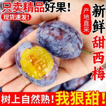 【正宗】新疆法兰西西梅应季新鲜水果脆甜李子法兰西女神鲜果批发
