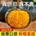 正宗精品山东潍坊贝贝南瓜货源充足电商一件代发社区团购