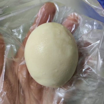 鸡宝