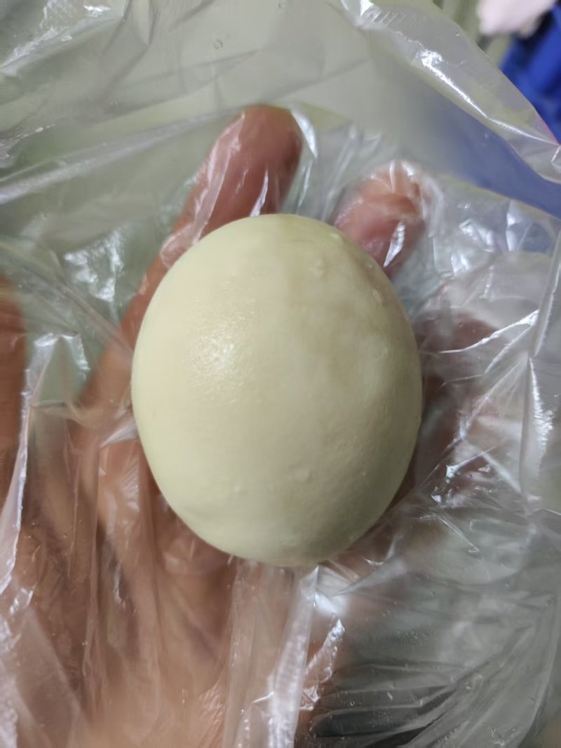 鸡宝