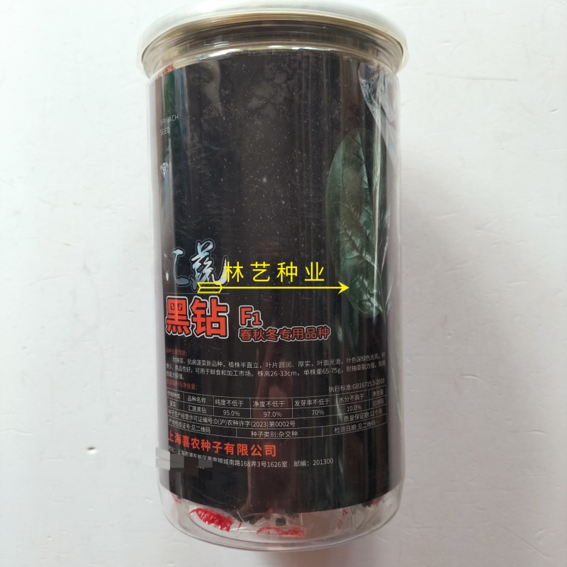 汇蔬黑钻菠菜种子黑圆叶厚实高产耐抽苔半直立红根菠菜籽春秋