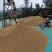 精品小麦需出售