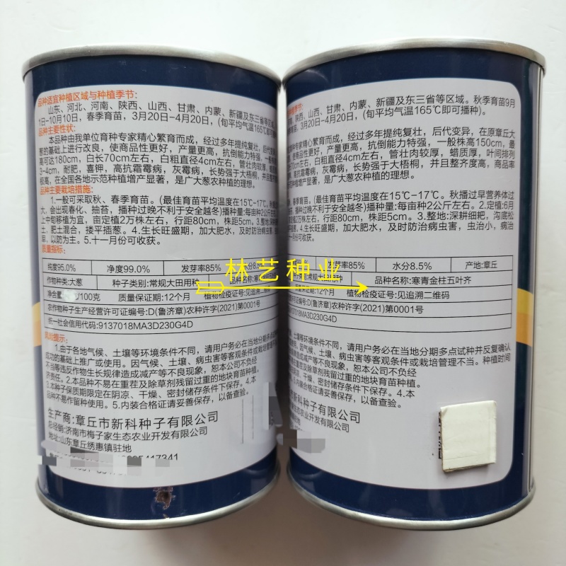 寒青金柱五叶大葱种子抗寒叶片深绿整齐白实品质佳大葱种籽