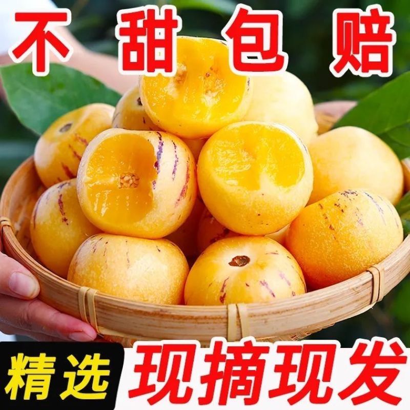 人生果人参果电商一件代发欢迎各位大佬全渠道对接