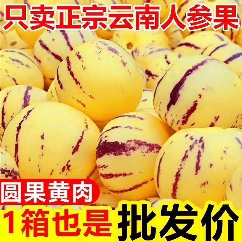 人生果人参果电商一件代发欢迎各位大佬全渠道对接