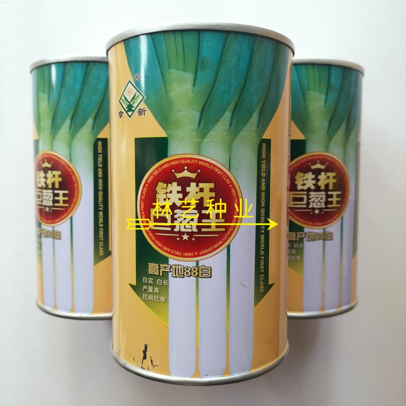 铁杆巨葱王大葱种子抗倒质地紧密叶片面冲上叶肉厚大葱