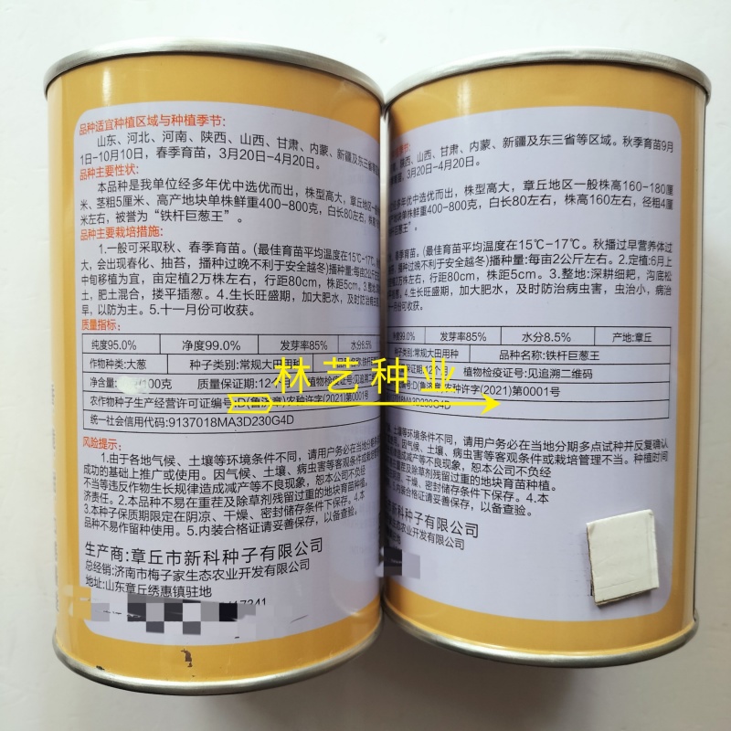 铁杆巨葱王大葱种子抗倒质地紧密叶片面冲上叶肉厚大葱