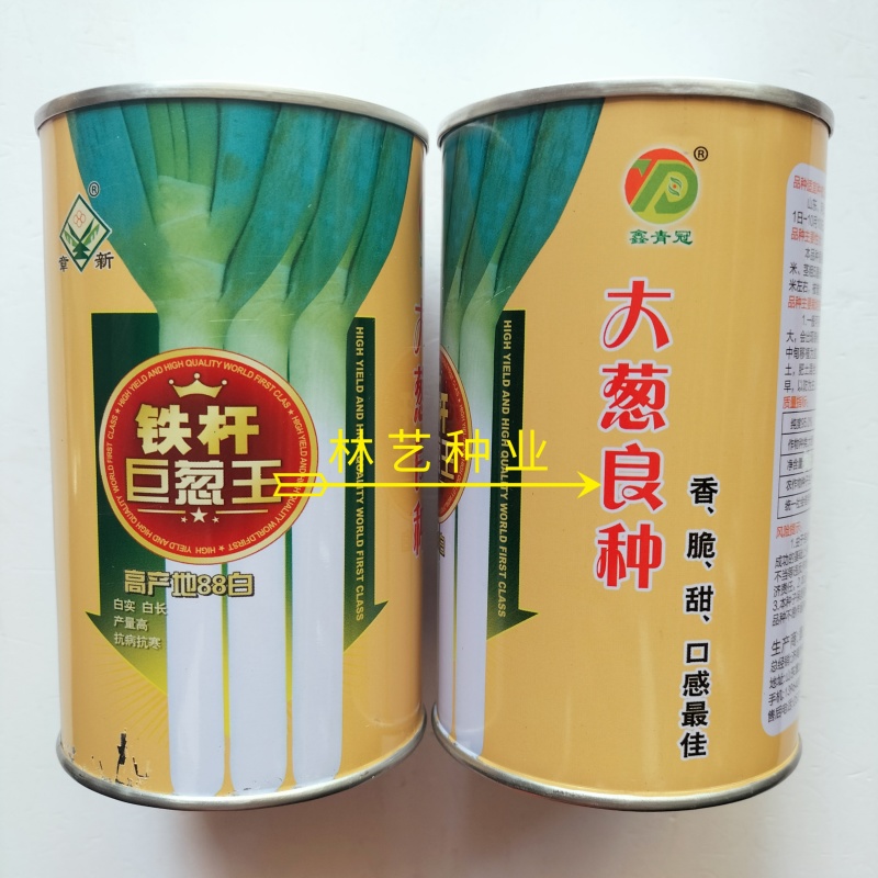 铁杆巨葱王大葱种子抗倒质地紧密叶片面冲上叶肉厚大葱