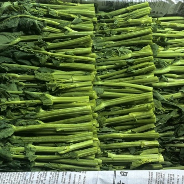 板蓝根青菜