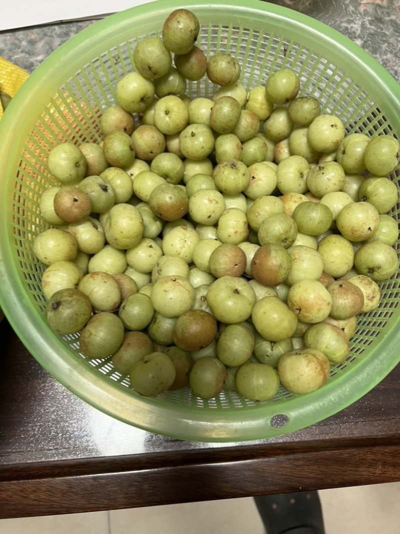 本地油柑果无残留农药大量供应