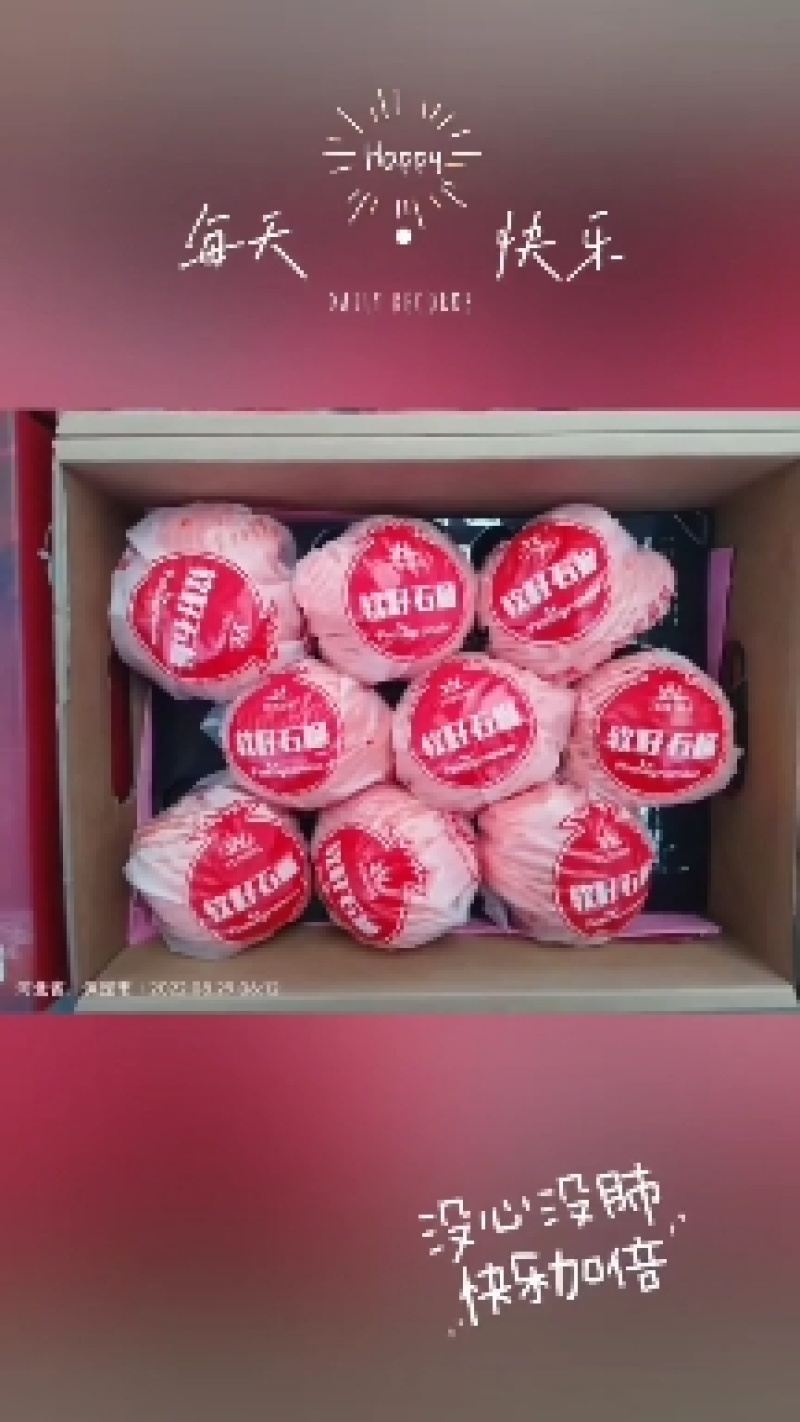 突尼斯软子石榴