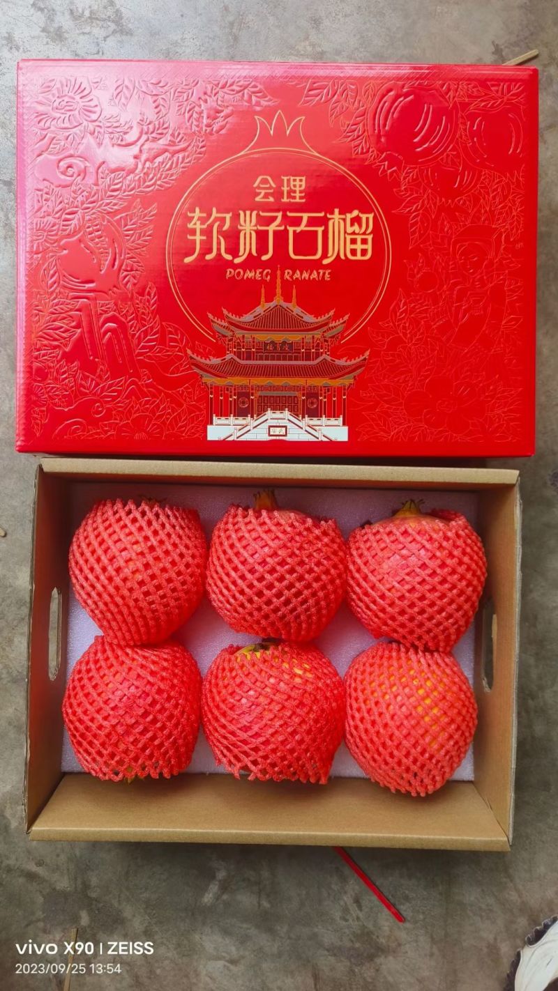突尼斯软子石榴