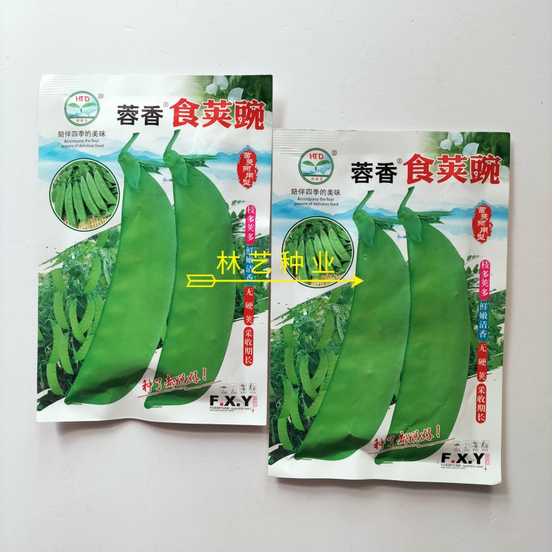 蓉香食荚豌荷兰豆种子无硬荚无鼓籽鲜嫩清香无硬荚无鼓籽蔬菜