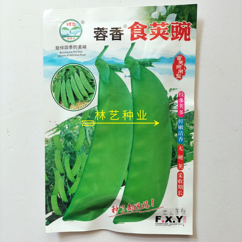 蓉香食荚豌荷兰豆种子无硬荚无鼓籽鲜嫩清香无硬荚无鼓籽蔬菜